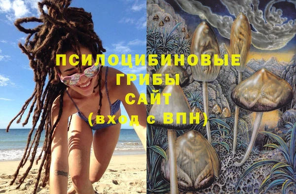 крисы Горняк