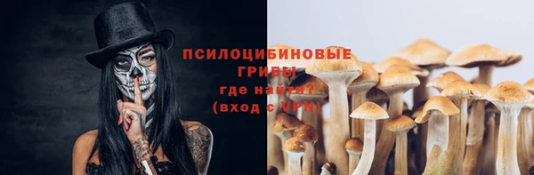 крисы Горняк