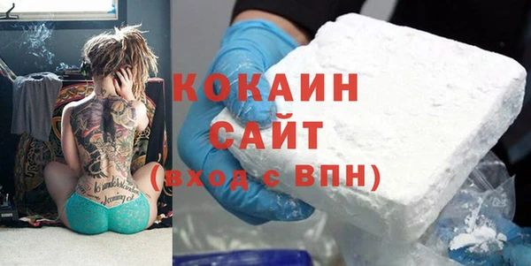 крисы Горняк