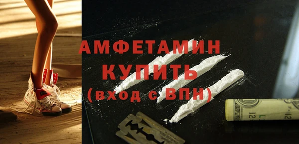 крисы Горняк