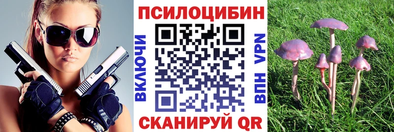 Купить закладки  Калач  Псилоцибиновые грибы Cubensis 